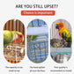 🔥Hot Sale 49% OFF 🐦Automatic No-Spill Transparent Bird Feeder