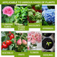 🔥BUY 1 GET 1 FREE🔥Plant Nutrient Solution