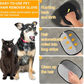 🔥BUY 1 GET 1 FREE🐾🧤 Pet Hair Remover Electrostatic Gloves – Double-Sided Efficient, Soft Silicone & Washable Reusable (Versatile Home+Car)!