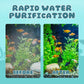 💦Aquarium Silent Motorized Filter✨
