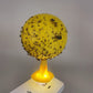 ✨2026 Hot Sale⌛🔥Sticky Fruit Fly Trap Ball with Stand & LED