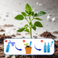 Multi-Plant Liquid Reviver