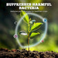 Powerful Fruit Booster Fertilizer