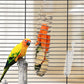 🦜Stainless Steel  Hanging Feeder for Birds