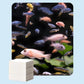 Aquarium Water Clarifying Sheets