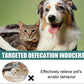 ✨ Pet Positioning Defecation Inducer Spray! 🐶🐱💩