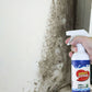 🔥HOT SALE 50% OFF✨Wallform remover spray