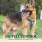 🐶 50% OFF NOW! 🛡️ No Pull Dog Harness with Leash & LED Collar – Secure & Comfortable ✨
