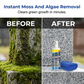 Headstone Restoration & Cleaning Spray