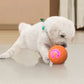 🎾 Rechargeable Self-Moving Dog Ball – LED Play