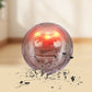 🎾 Rechargeable Self-Moving Dog Ball – LED Play