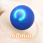 🎾 Rechargeable Self-Moving Dog Ball – LED Play