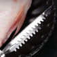 🐟 50% OFF NOW! ✨ Stainless Steel Fish Scaler Remover – No more fish scale mess, easy to use & rust-resistant 🧼