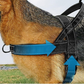 🔥New Hot Selling-50% Off!!🏆✨Heavy-Duty Tactical Dog Harness with Handle🐕
