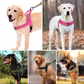 🔥New Hot Selling-50% Off!!🏆✨Heavy-Duty Tactical Dog Harness with Handle🐕
