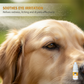 Gentle Pet Eye Stain Remover Essence Nourishing Drops