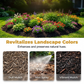 📢📢50% OFF!! ⏰Mulch & Gravel Anchor Glue for Landscaping
