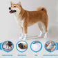 🐾 Disposable Dog Paw Covers | 20–60 Pack