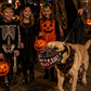 Halloween Realistic Spoof Pet Muzzle