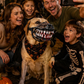 Halloween Realistic Spoof Pet Muzzle