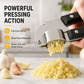 Stainless Steel Garlic Press