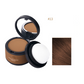Instant Hairline Shadow Powder