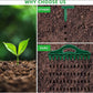Garden Seed Planting Tool Kit