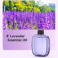 🌿 Automatic Aromatherapy Diffuser – 4-Level Timed USB Fragrance Sprayer