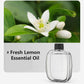 🌿 Automatic Aromatherapy Diffuser – 4-Level Timed USB Fragrance Sprayer