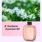 🌿 Automatic Aromatherapy Diffuser – 4-Level Timed USB Fragrance Sprayer