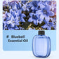 🌿 Automatic Aromatherapy Diffuser – 4-Level Timed USB Fragrance Sprayer