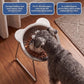 🐶2026 HOT SALE🥳💞50K+ SOLD! 🐱✨ 50% OFF!💥15° Tilted Orthopaedic Feeding Bowl🥣