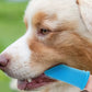 Silicone Finger Toothbrush for Pets