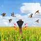 🐦 Solar Bird Repeller | IP55 Outdoor Deterrent