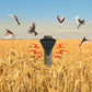 🐦 Solar Bird Repeller | IP55 Outdoor Deterrent