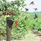 🐦 Solar Bird Repeller | IP55 Outdoor Deterrent