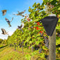 🐦 Solar Bird Repeller | IP55 Outdoor Deterrent