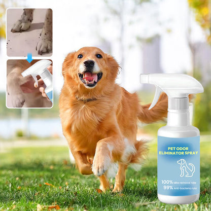 🐶 Pet Odor Eliminator Spray | Everyday Freshness