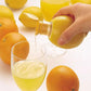 Citrus Juice Extractor