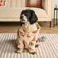 ⏳Limited-time 62% off⏰Funny Festive Dog Hooded Sweater🐕👕