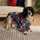 ⏳Limited-time 62% off⏰Funny Festive Dog Hooded Sweater🐕👕
