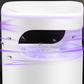🦟 UV Fly Trap | USB Suction Catch Box