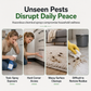 Cockroach Traps & Roach Catcher