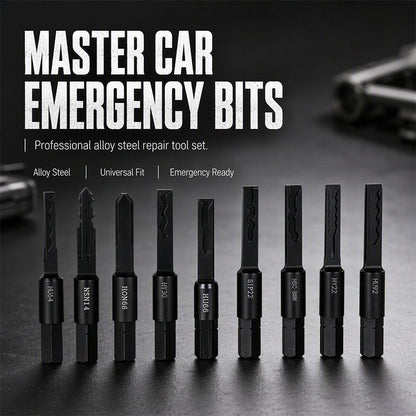 🔐 Alloy Car Lock Maintenance Bits | Multi-Model