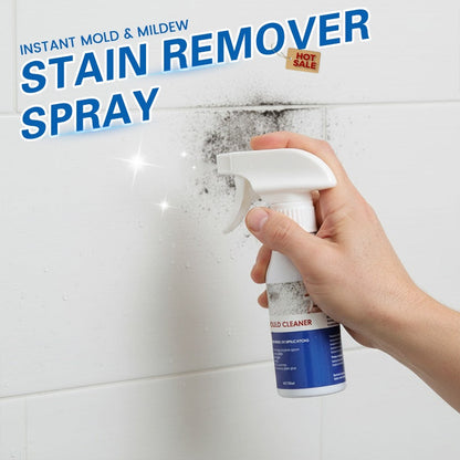 🧼 Mold & Mildew Stain Remover Spray | 120ml