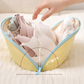 🧳 Travel Underwear Organizer | Structured Storage Bag