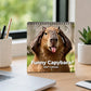 🦫 Capybara Calendar 2027 | 3 Fun Styles