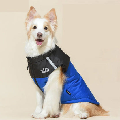 🐶 Winter Dog Coat with D-Ring | 2XL–5XL