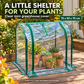 🌱 Mini Greenhouse Cover | 70×50×70cm