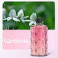 🌿 Wireless Aromatherapy Diffuser | 5 Scents